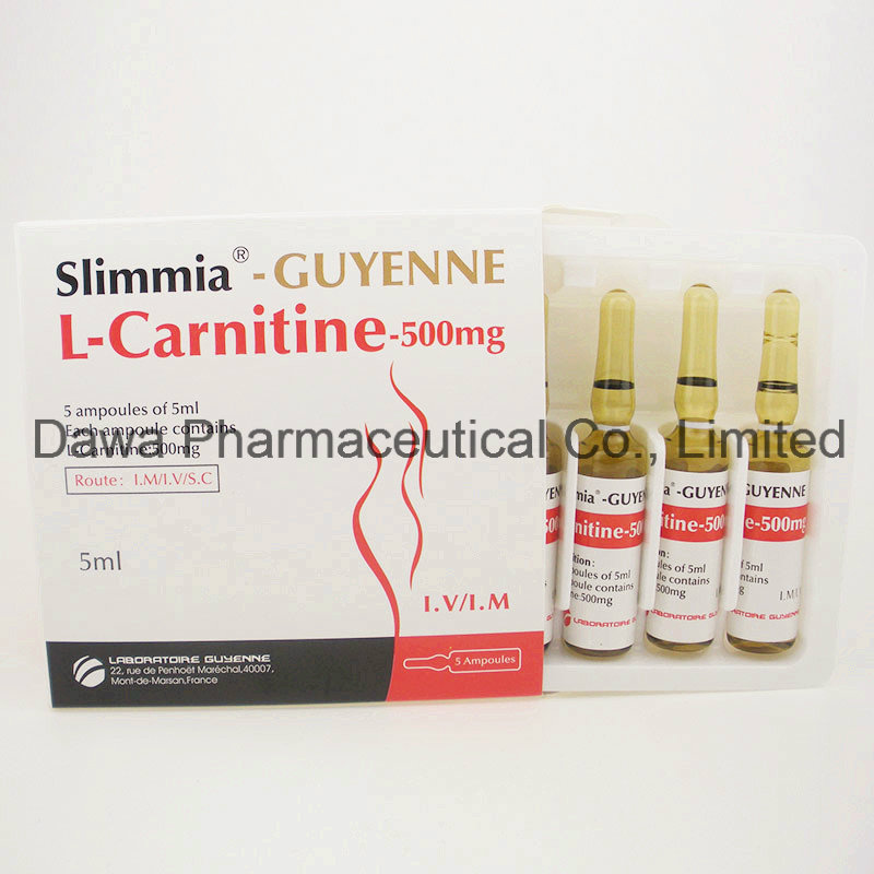 Ready Stock Weight Loss & Beautiful Figure 500mg/5ml L-Carnitine Injection