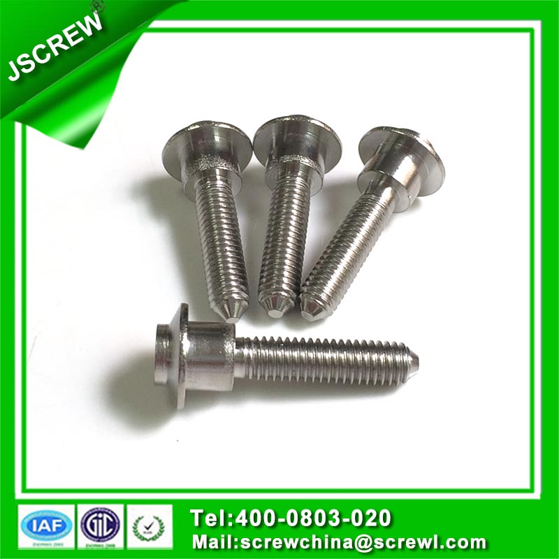 Button Head Stainless Steel Torx Special Screw