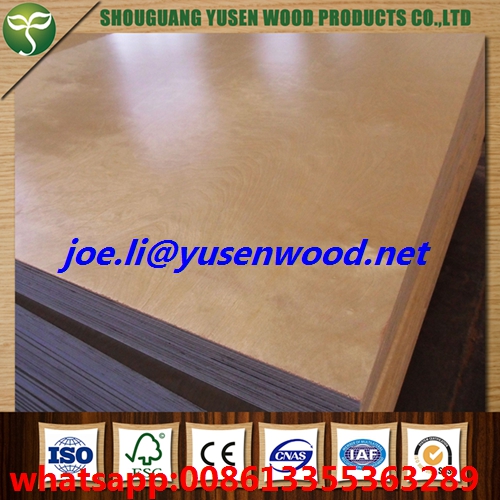 18mm UV Birch Plywood