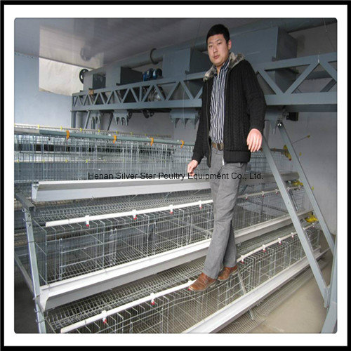 Galvanized Iron Wire Layer Chicken Cage for Africa Farms (A3L90)