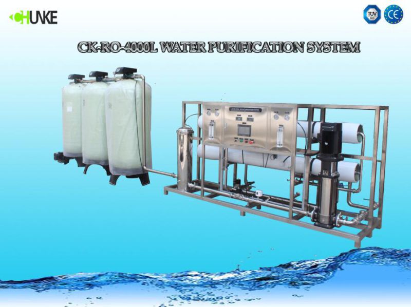 4000L/H for Salt Water by RO System Water Treatment Plant