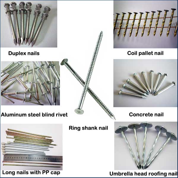 Painted Screw Shank Coil Nail Pallet Coil Nail