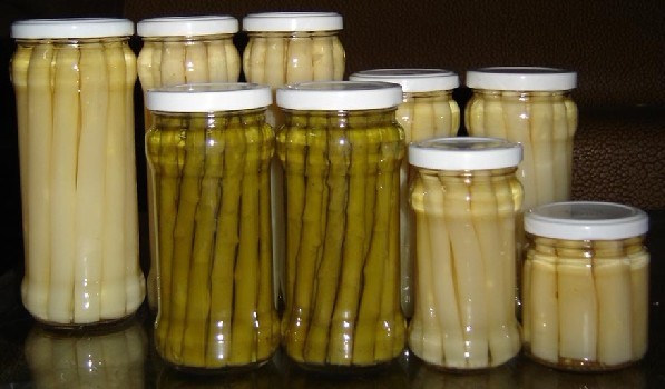 Canned White/Green Asparagus From China