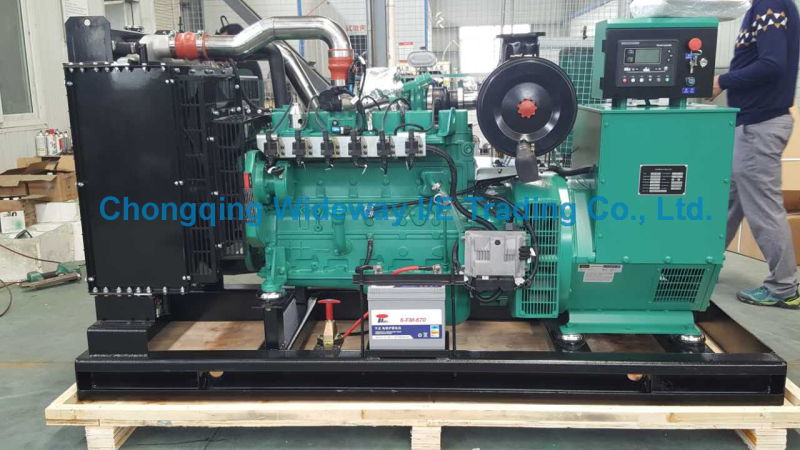 Lydc11g200kw High Quality Eapp Gas Generator Set