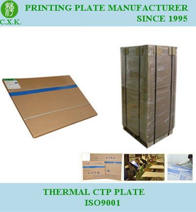 China Positive Thermal Plate (P8)