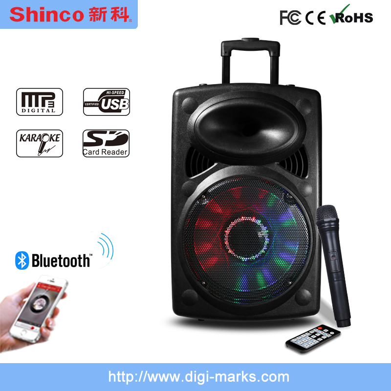 Popular Rechargeable Bluetooth Karaoke Speaker P151