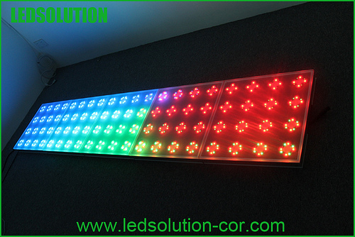 Interactive LED Dance Floor for Pub, Club