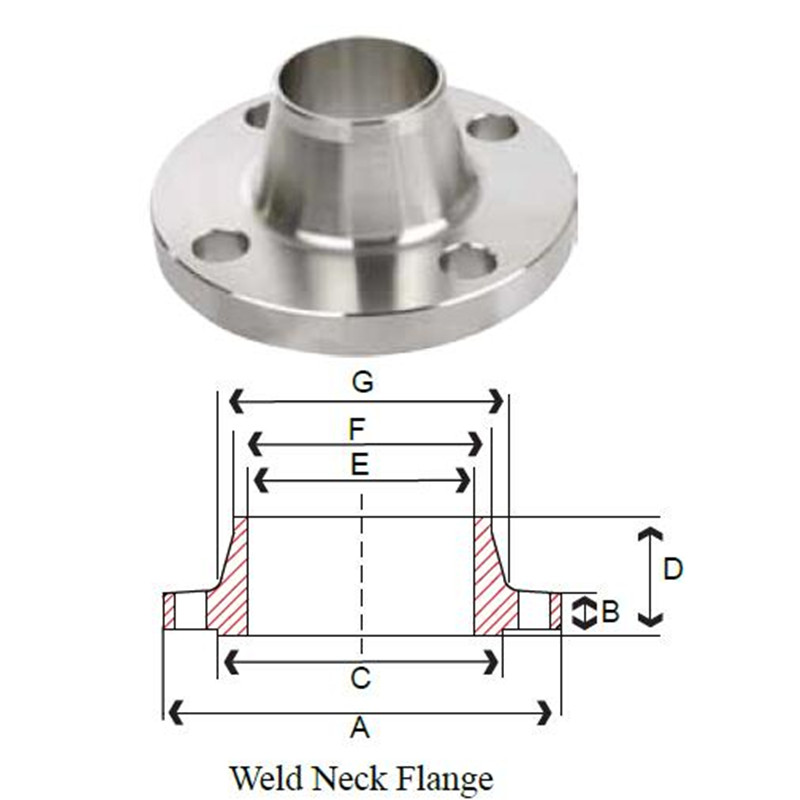 150# ANSI RF 304/L Stainless Steel Forged Weld Neck Flange