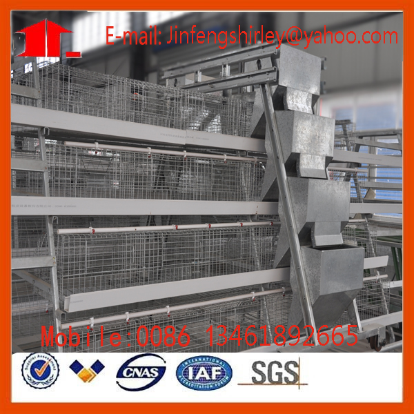 Automatic Poultry Equipment for Layer, Broilers Pullet Raise