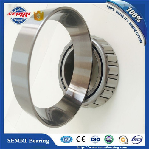 High Quality and Cheap Price Taper Roller Bearing (30203) with Large Stock