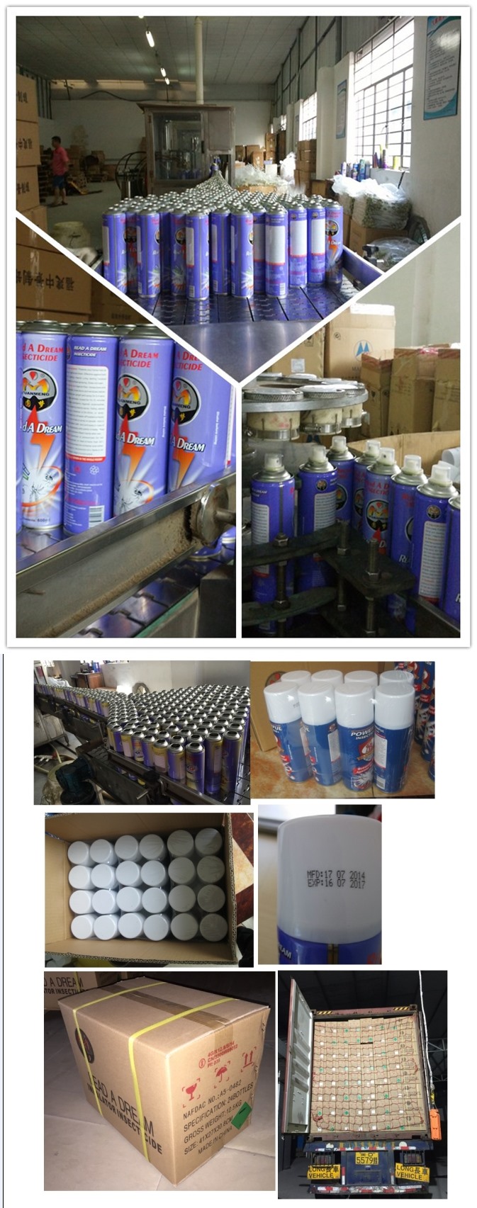 400ml China Supplier Rad Read a Dream Insecticide Spray Pest Control Spray