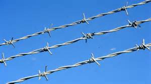 Electric/Hot Dippd Galvanized Barbed Wire