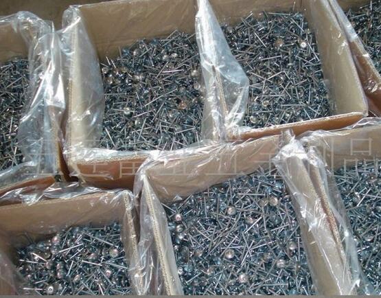 Twisted Shank Galvanized Umbrella Head Roofing Nails