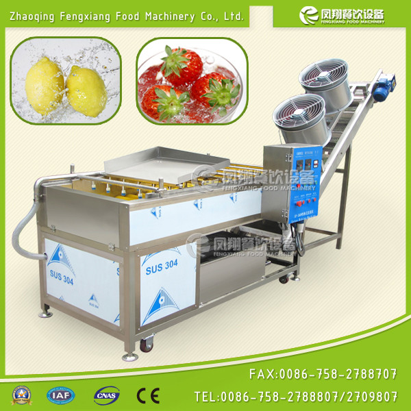 Automatical Fruit Washing and Drying Machine