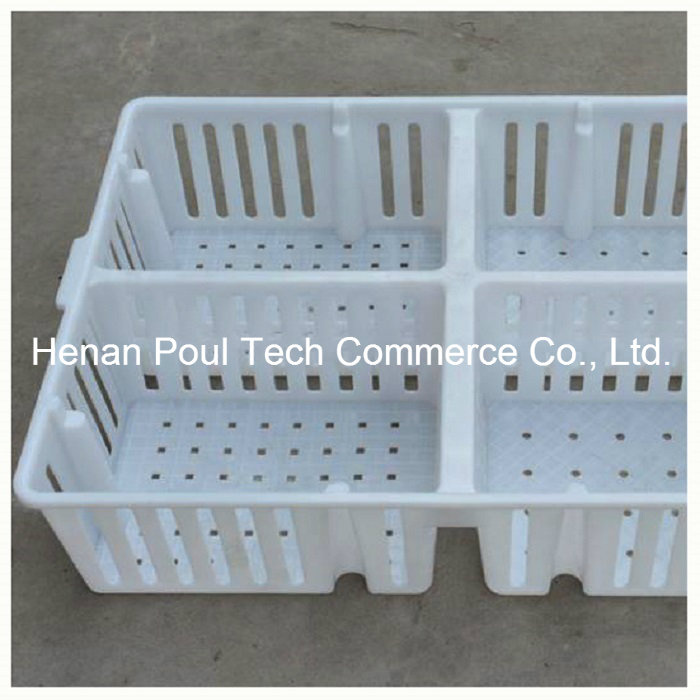 Plastic PE Material Chicken Transport Cage