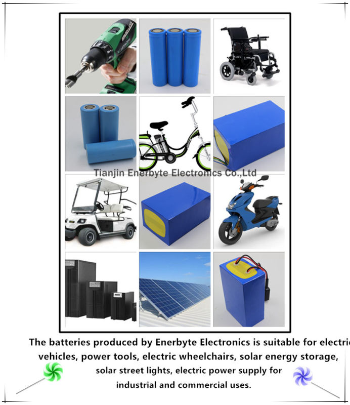 LiFePO4 Battery Pack 12V 20ah for EV and Solar Energy