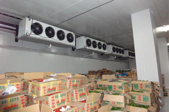 OEM Factory Cold Room and Deep Freezer Cold Room