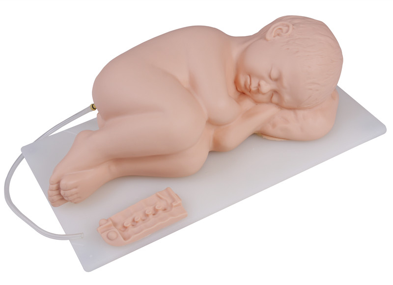 Medical Teaching Baby Infant Lumbar Puncture Equipment Model