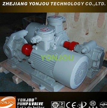 KCB-200 Bronze Rotary Gear Pump, 1 Inch Gasoline Gear Oil Pump, Oil Pump, Gear Pump (KCB 2CY)