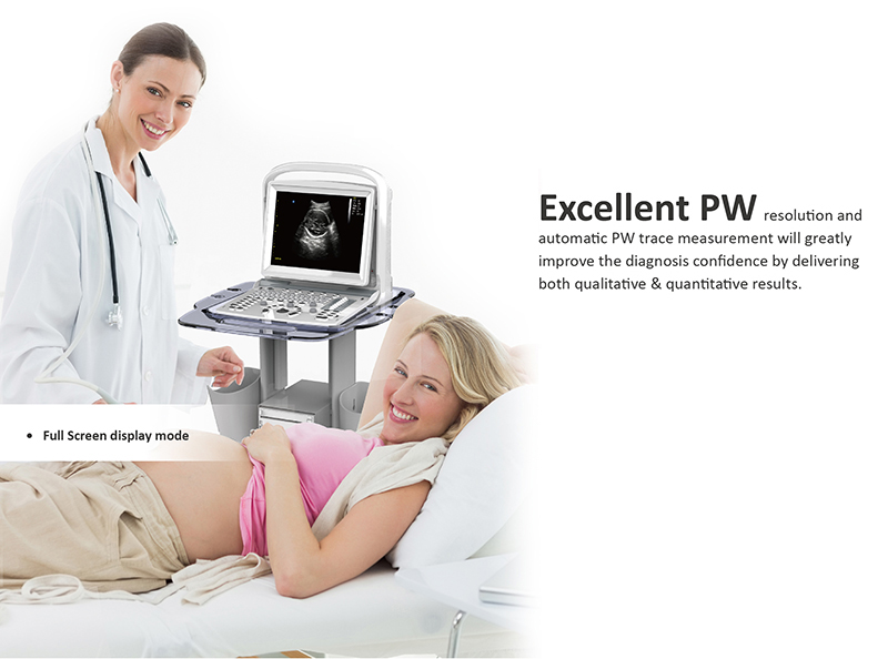 Ultrasonic, Ultrasound Scanner Black White Doppler Laptop Portable (SC-ECO3 expert)