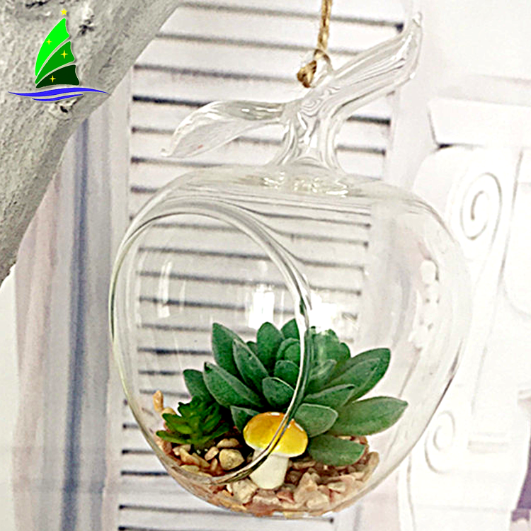 Apple Shaped Glass Hanging Plant Terrarium