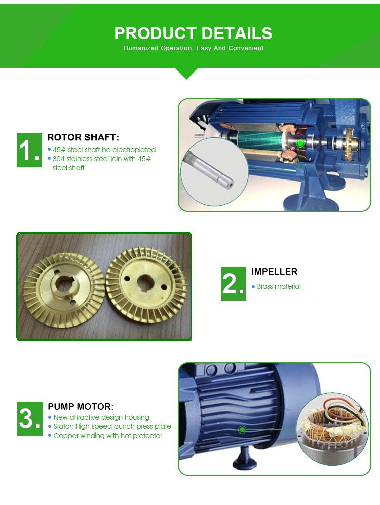 Single Phase Small Smart Intelligent Auotmatic Vortex Water Pump