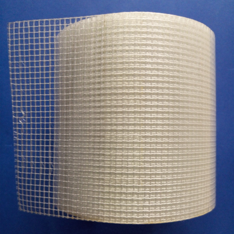 55GSM Fiberglass Mesh with 12um Pet