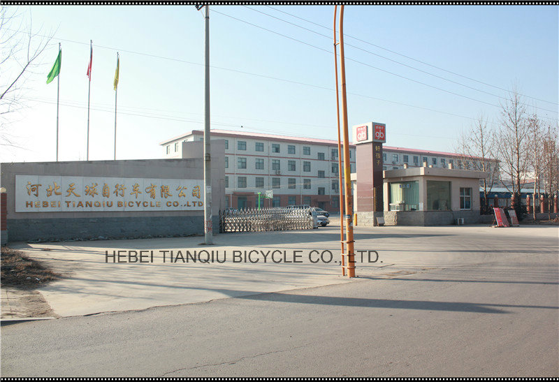 High Quality Algeria Style Children Bicycle From China Manufacturer