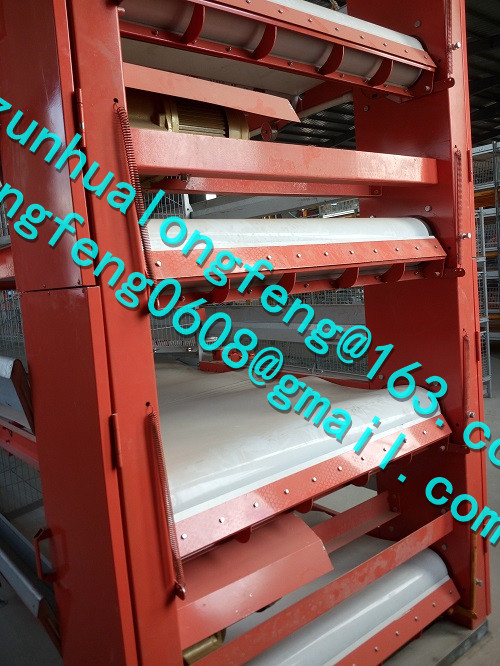 Automatic Poultry Cage for Broiler