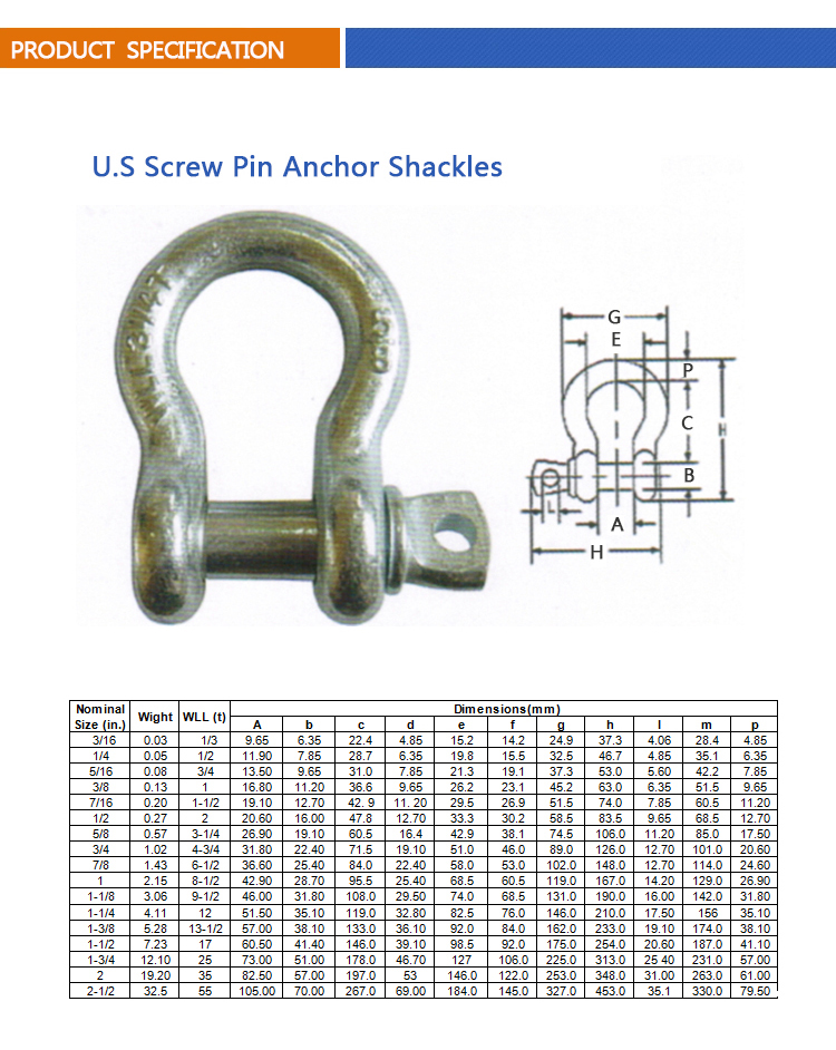 Us Type Screw Pin Bow Shackle