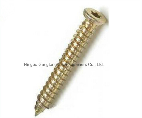 M5-M30 of Torx Socket Screw with Carbon Steel