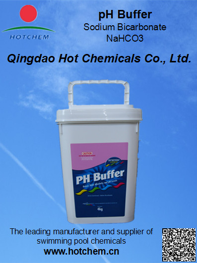 Swimming Pool Water Treatment Chemicals Alkalinity Plus pH Buffer