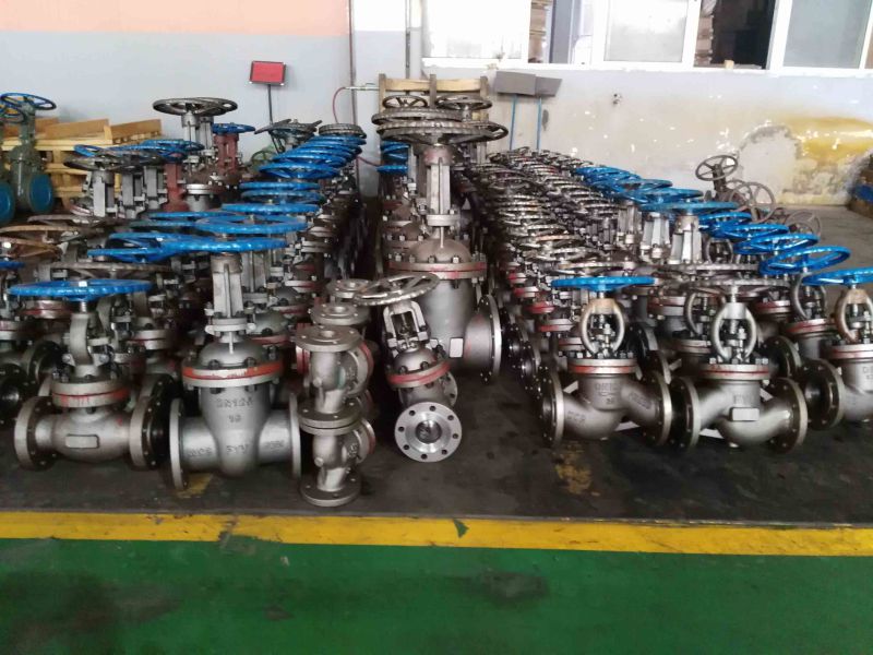 Wcb Gate Valve with Gear Box