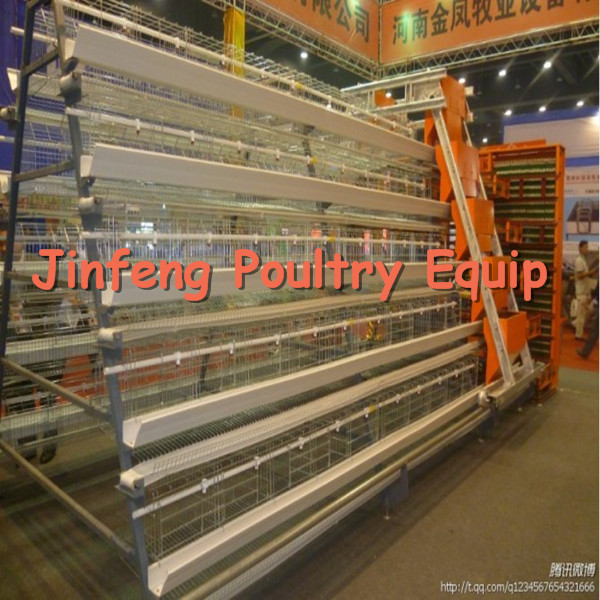 a Type Poultry Equipment Chicken Cage for Layer Broiler Pullet