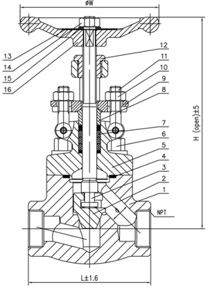 800L 1500lb Forged Steel A105 Thread End NPT Globe Valve