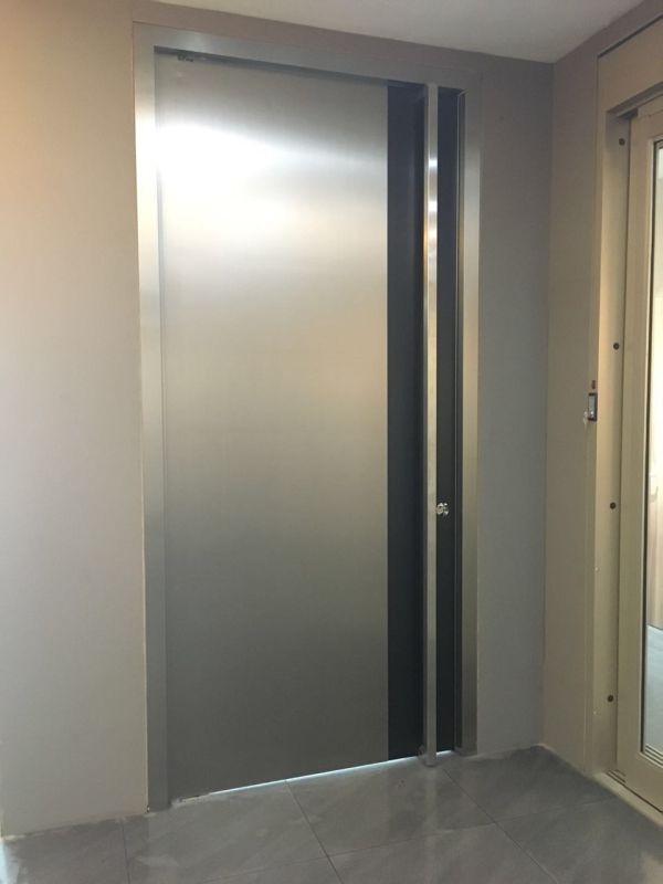 Modern Pivot Front Entry Door