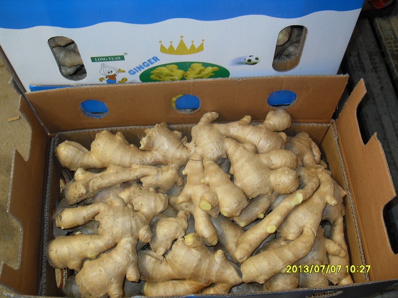 Golden Supplier for Chinese Fresh Ginger