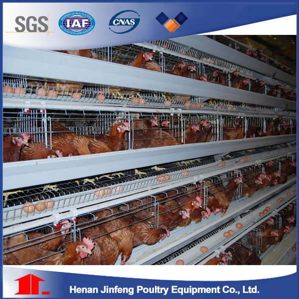 High Quality Automatic Poultry Equipment Chicken Cage for Layers (9LDT-5-1L0-25)