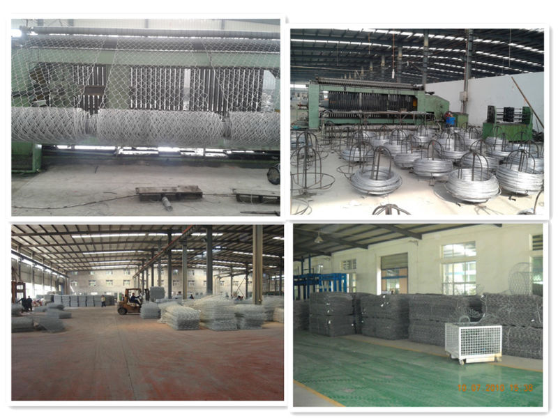 Gabion/Gabion Mesh (60X80, 80X100, 80X120, 100X120mm)