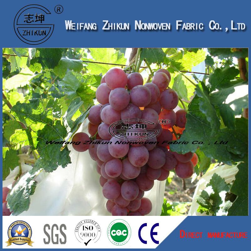 Agriculture Useing PP Nonwoven Fabric