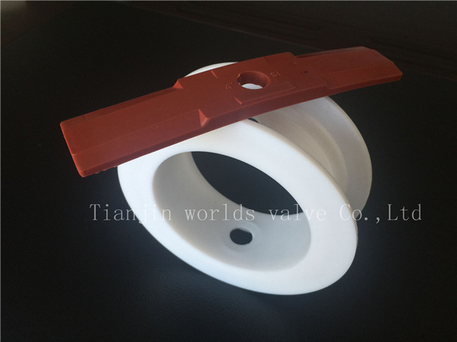 Soft Seat for Butterfly Valve (WDS)