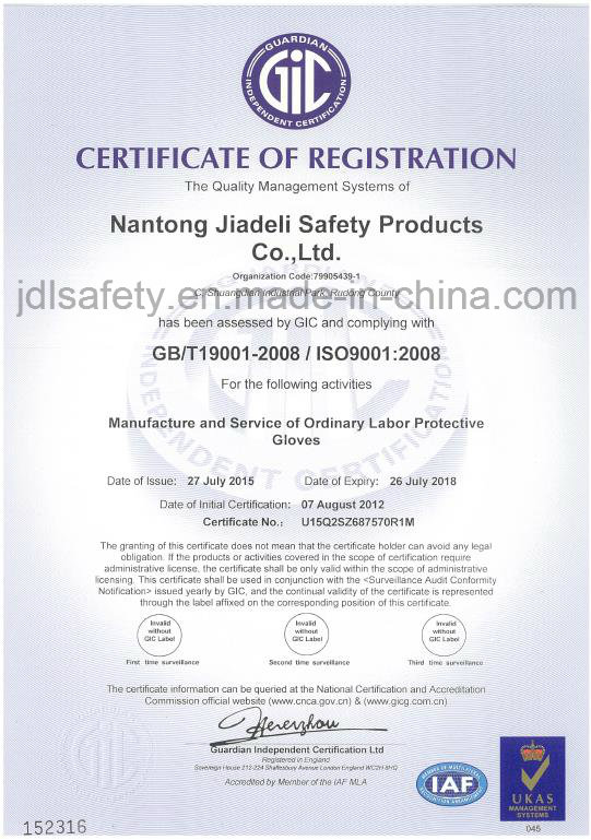 Hppe Safety Working Glove with Nitrile Coating (PD8032)