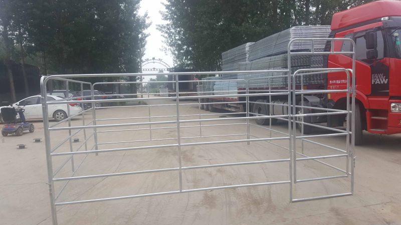 Galvanized Steel Horse Yard Panel