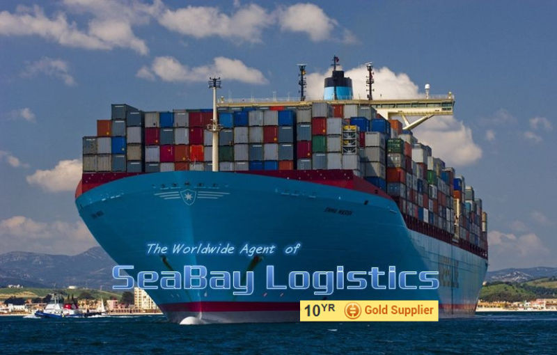 Freight Forwarder/ Logistic Service From China to USA