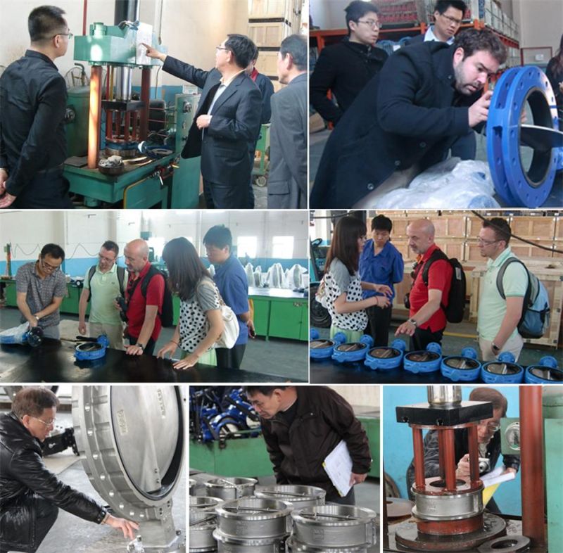 Concenric Wafer/Lug/Flange Butterfly Valve with CE, ISO9001 Certifcate