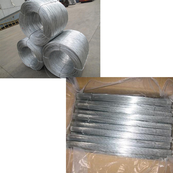 Low Price and High Quality Hot-Dipped Galvanized Iron Wire (TYC-021)