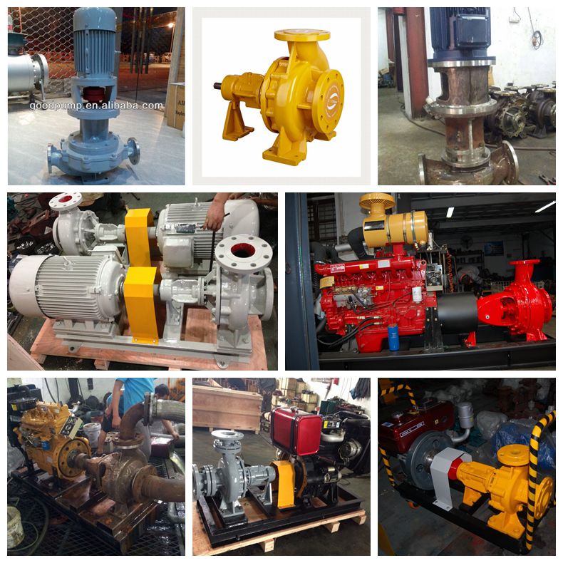 Lqry Thermal Conductive Oil Pump