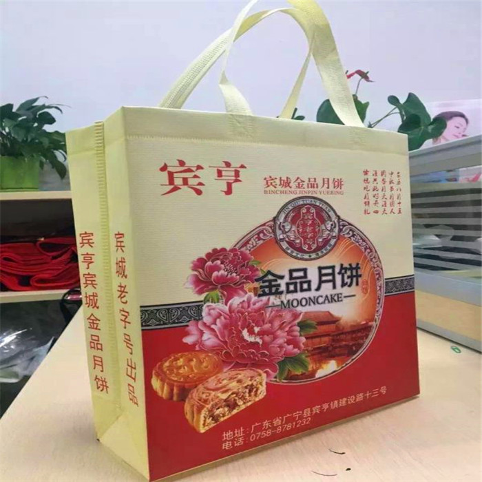 Eco Non-Woven Shopping Handle Bag