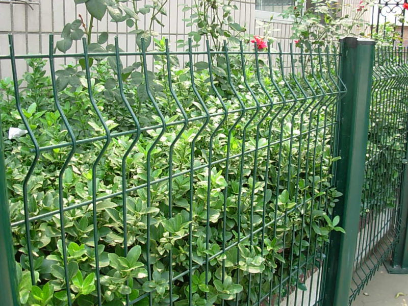 Hot Dipped Galvanized Powder Coated Metal Garden Palisade Fence