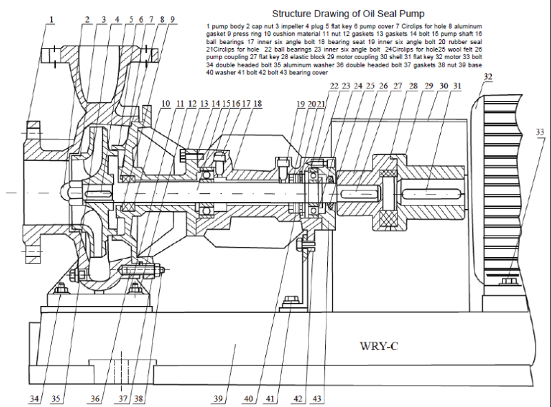 Anti Corrosion Hot Oil Pump